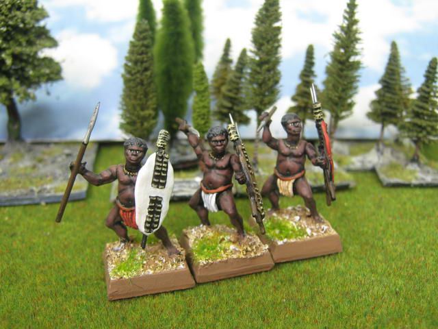 28mm Colonial Plastic DPS painted Zulu Warrior WLZU001F  