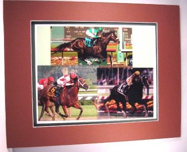   Harve De Grace Zenyatta Rachel Alexandra Double Mat Photo Print  