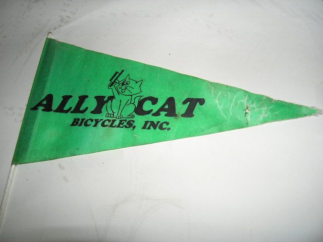 AllyCat Shadow Tag Along Bike 18 Wheel  