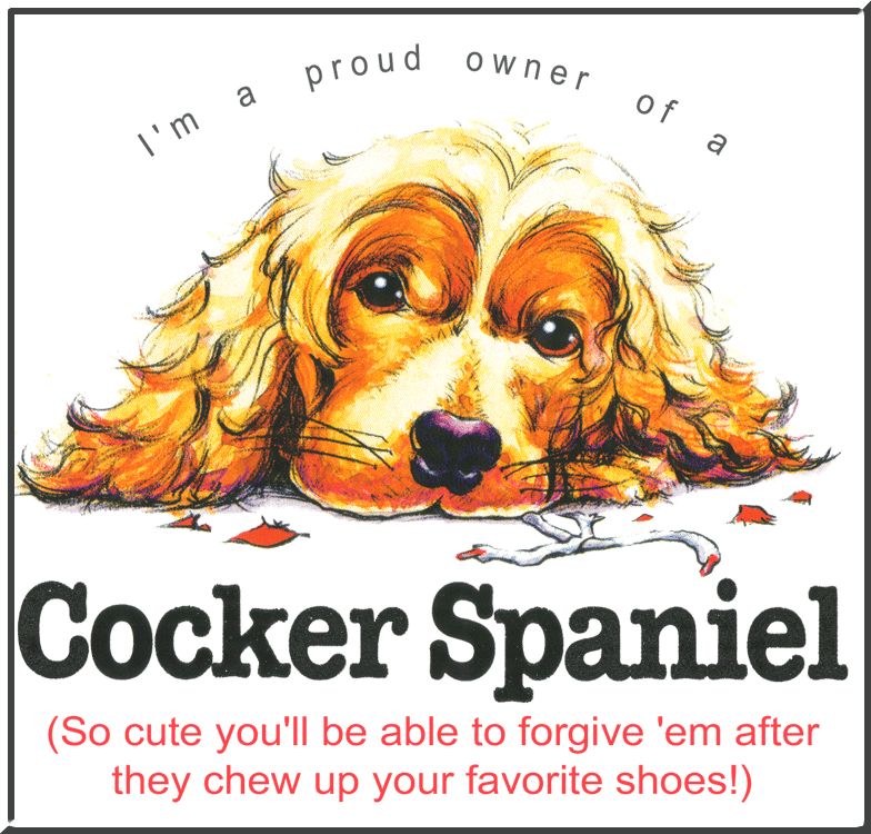 Funny Cocker Spaniel Chew Shoe T Shirt S,M,L,XL,2X,& 3X  