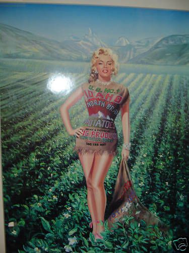 Marilyn Monroe Poster 24x29  