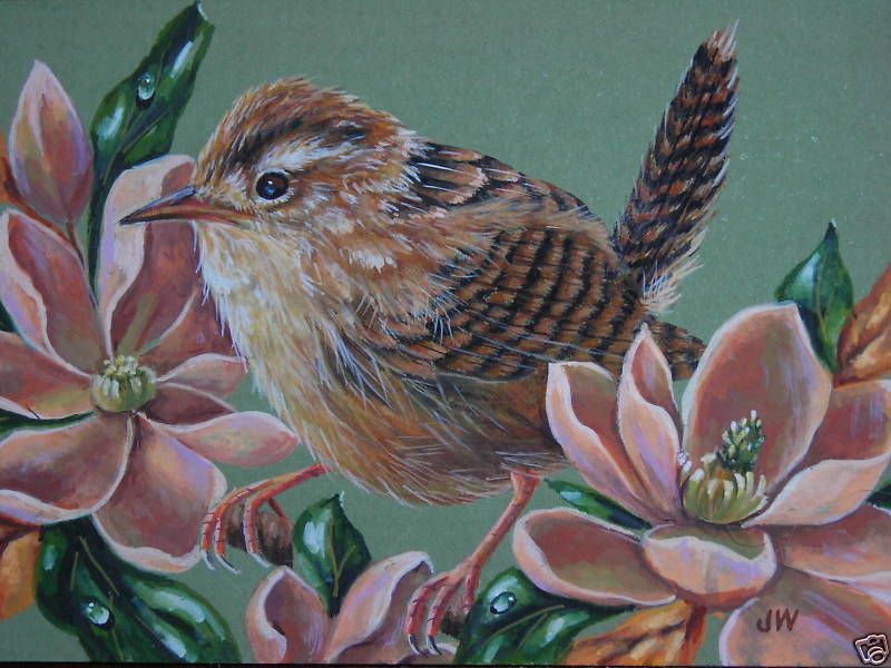 Carolina Wren bird wildlife Magnolia floral print  