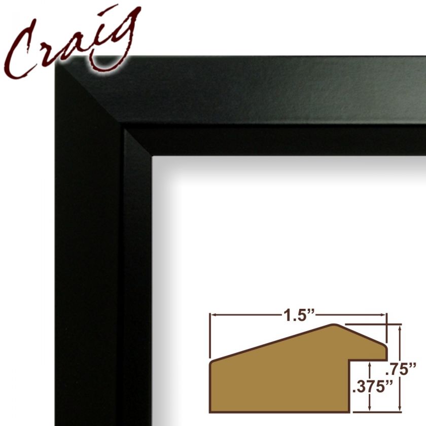 Custom 2 Black Picture Frames (21/22 Wide)  