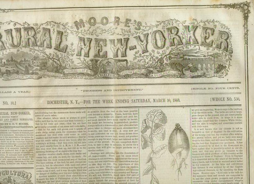 MOORES RURAL NEW YORKER,Rochester,New York Saturday,March 10,1860