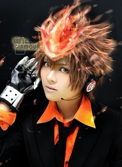 Reborn Tsunayoshi Sawada Cosplay Short Dark Brown Stylish Hair Wig 