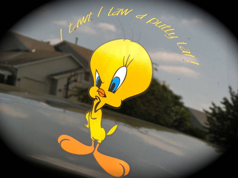 Tweety Bird I tawt I taw a putty tat vinyl decal NWT  