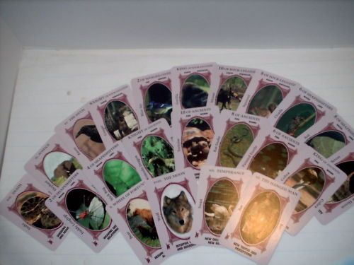 Native American Animal Spirit Tarot Reading  