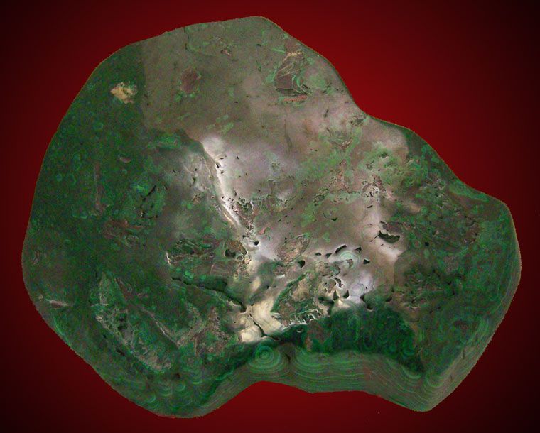 Museum 9 5.3LB GreenPolished BULLS EYE MALACHITE Congo  