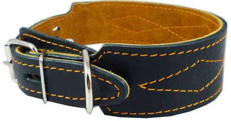 75 (1 3/4) wide, with a step to 1 buckle section width, made of 