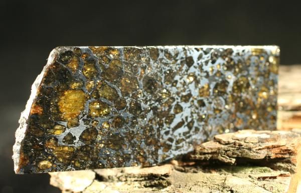 RICH PALLASITE & MESOSIDERITE METEORITE SEYMCHAN 51g  