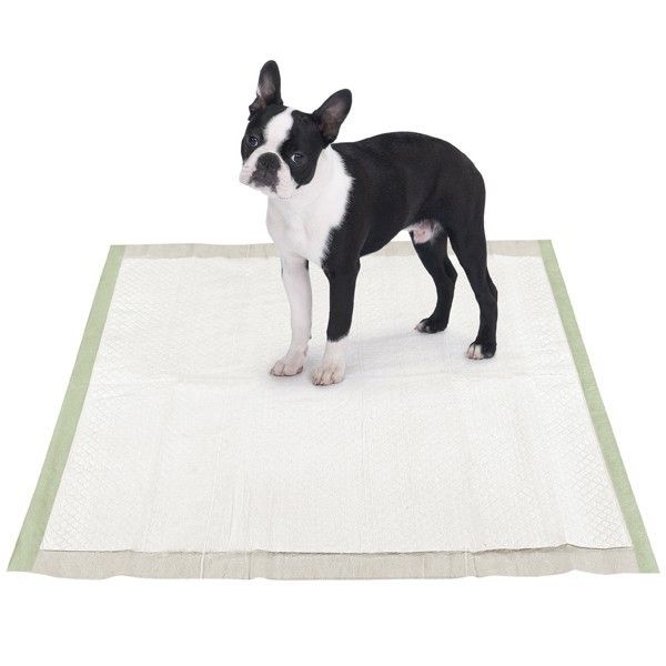 Clean Go Pet Biodegradable Eco Friendly Puppy Wee Wee Training Pads 