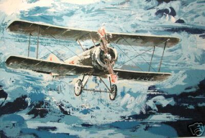 Wayland Moore BI PLANE Airplane S/N Ltd Ed Serigraph  