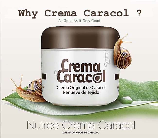 Orgarnic/Snail extract 90%Crema Original de Caracol/60g  