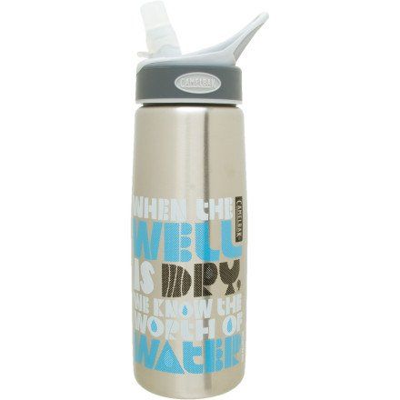 CAMELBAK STAINLESS STEEL BETTER BOTTLE .75L NEW   WELL  