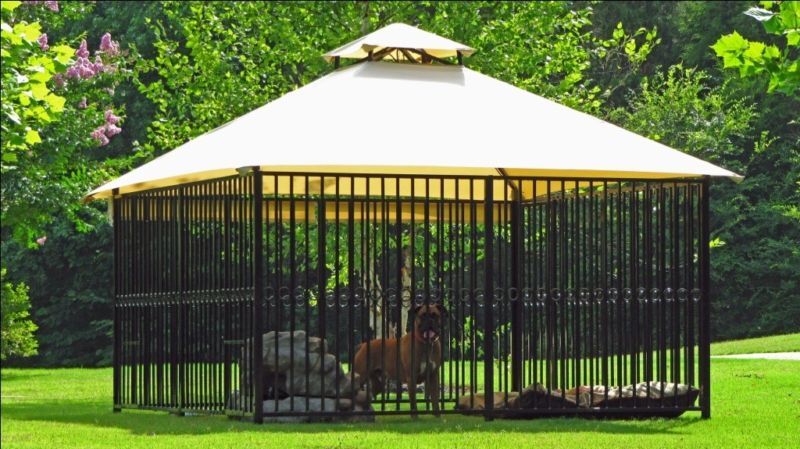 Luxury DOG HOUSE w/ Misting Canopy  10x10 DOG KENNEL  