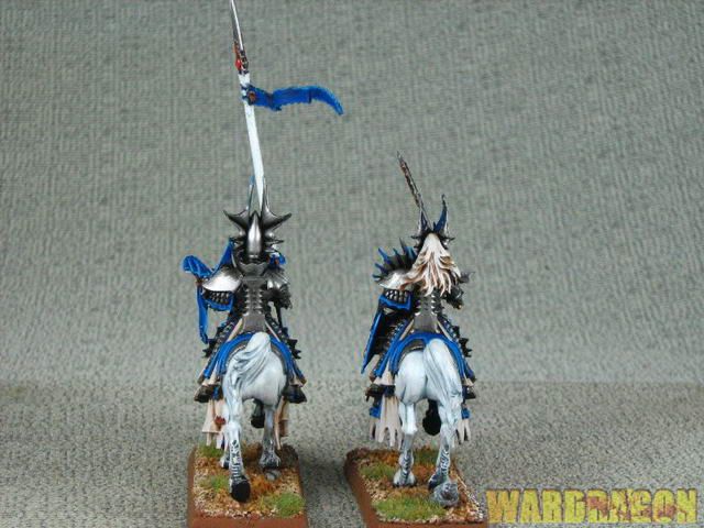 WDS Pro painted High Elf Dragon Princes of Caledor m22  