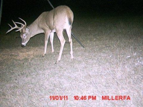 BRAND NEW MOULTRIE Pro Hunter Deer Feeder Kit + Game Spy D 50 Trail 