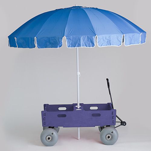 NEW WHEELEEZ BEACH WAGON  W/Umbrella  Very Versatile   Holds up to 300 